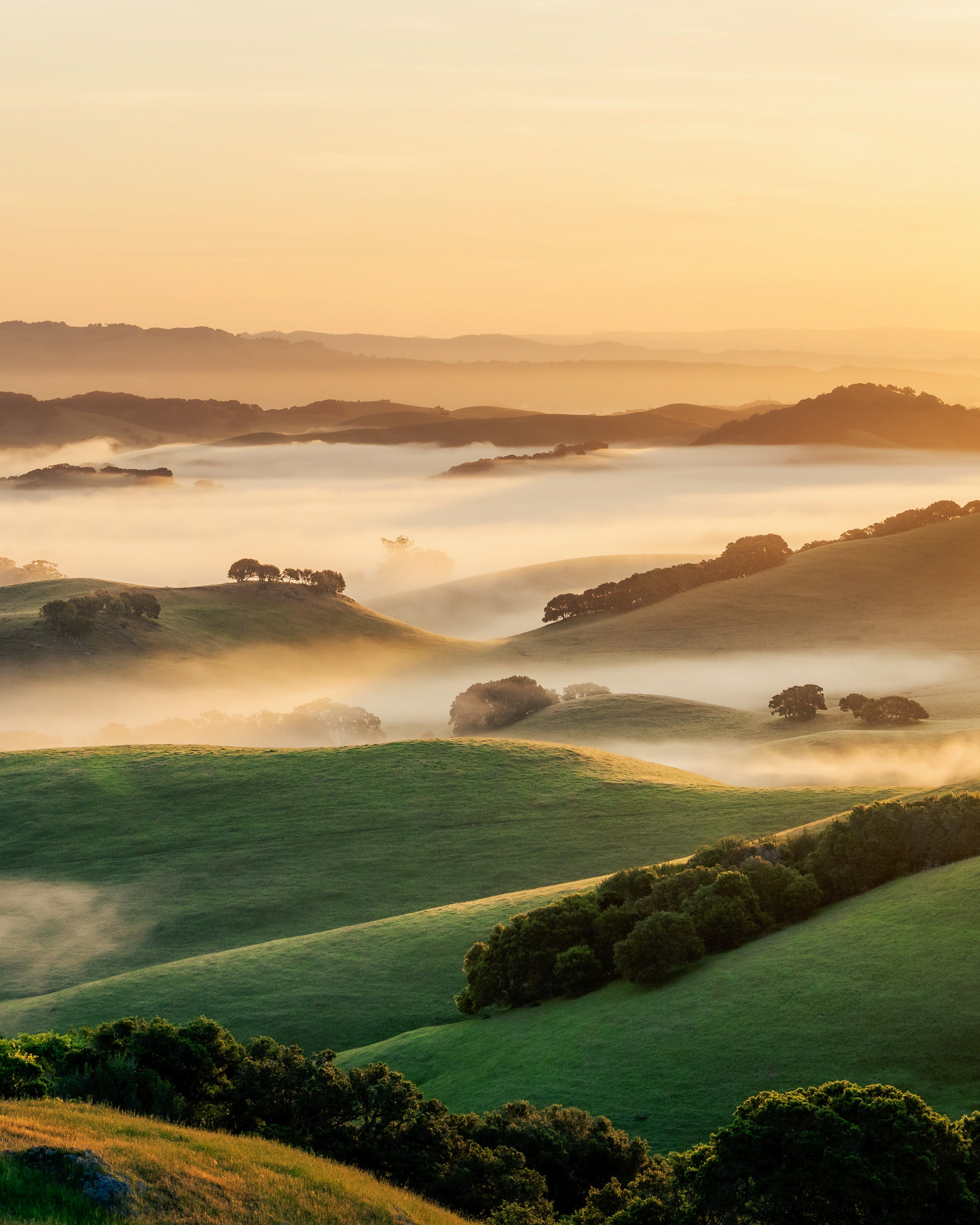 California hills in the morning.