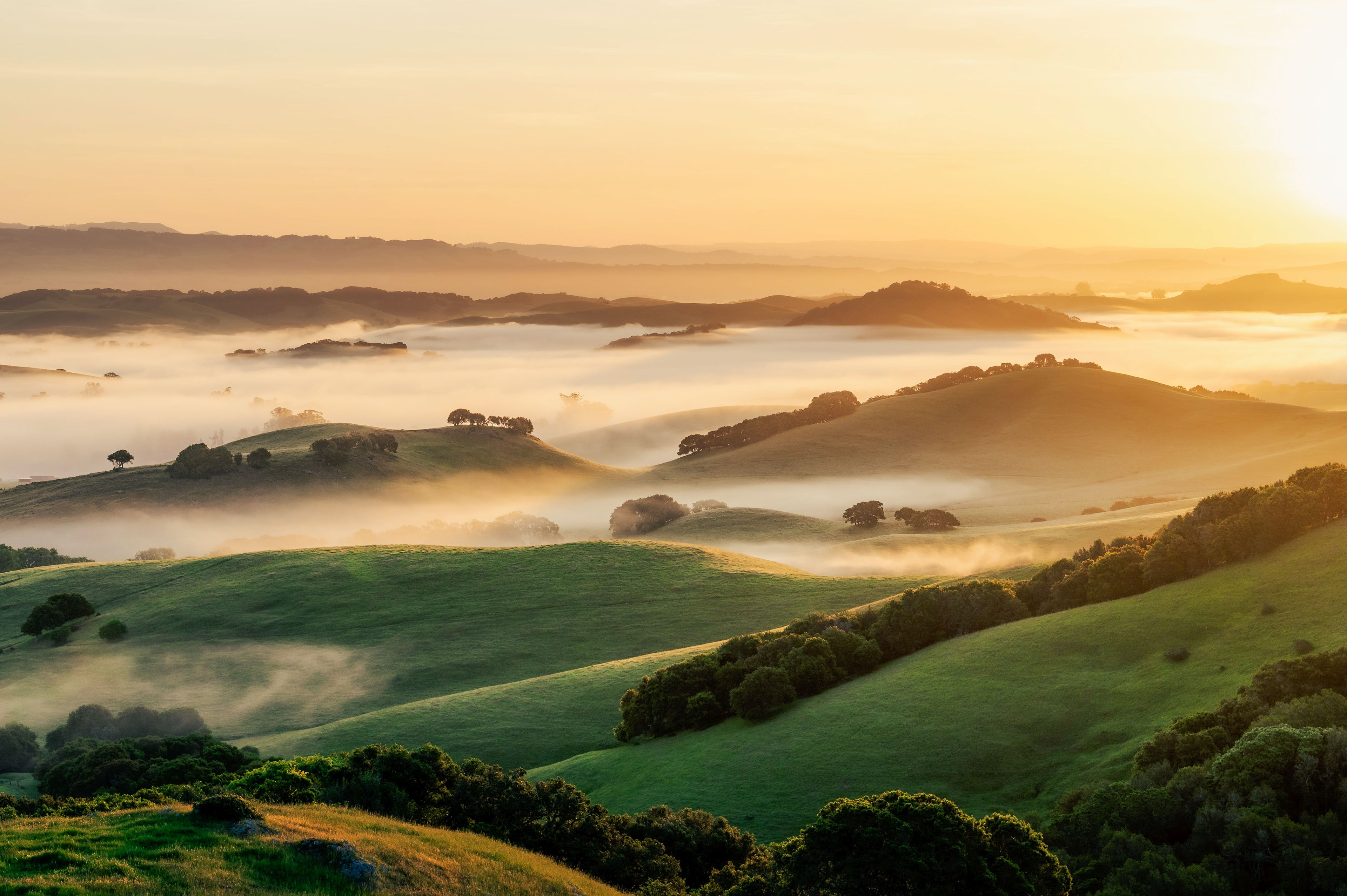 California hills in the morning.