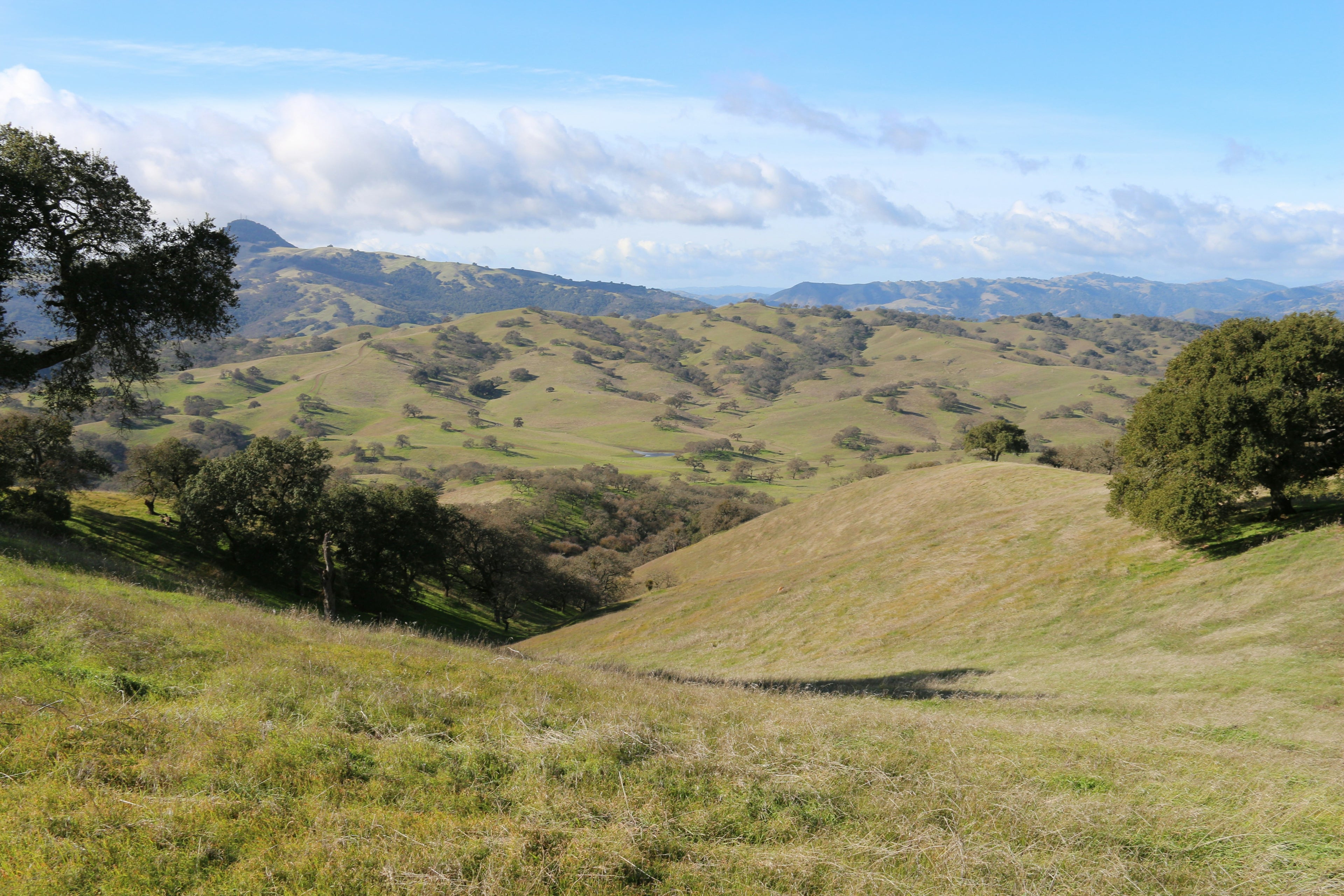 Hollister Hills landscape during the day.