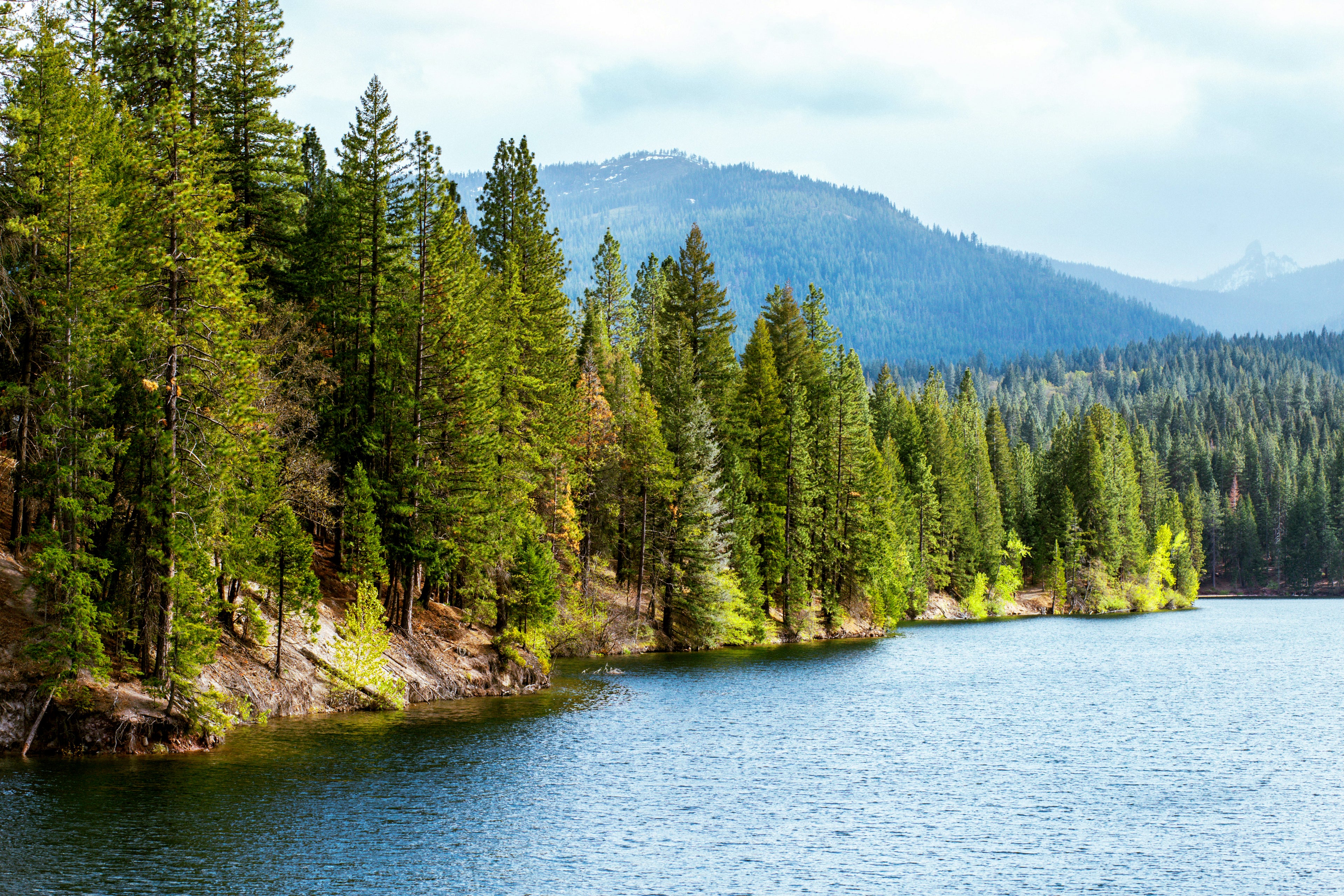 Lake Siskiyou during the day.